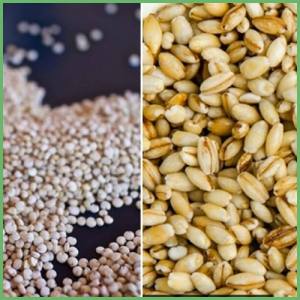 Quinoa or barley whole grain better weight loss